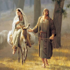 Despertar do advento