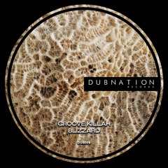 Groove Killah - Swagger (Original Mix) - Dubnation