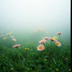 You want to make a garden?