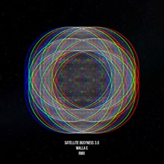 satellite busyness 3.0 RMX