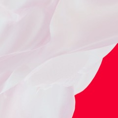 ily