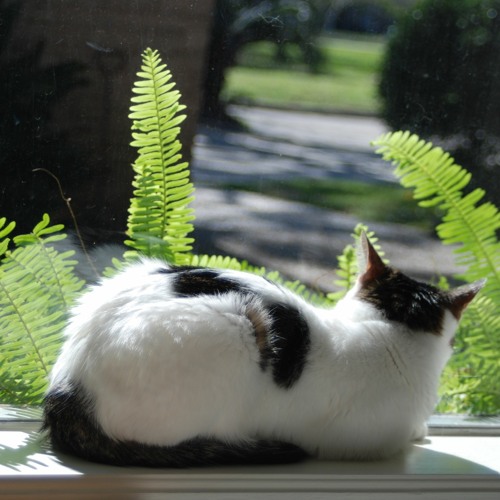 4’tal-Think9€3ε