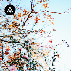 Premiere: Zeb Samuels 'The Switch'