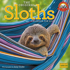 [FREE] EPUB ✓ The Original Sloths Wall Calendar 2019 by  Lucy Cooke KINDLE PDF EBOOK