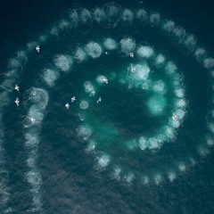 Malatyalıların Ortak Özelliği - KALT