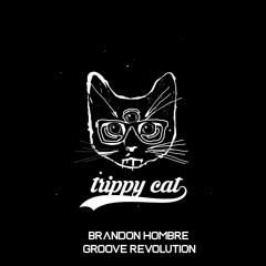 Brandon Hombre - Groove Revolution