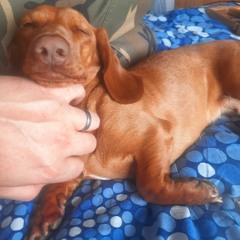 Cain - Nice Dubstep.mp3