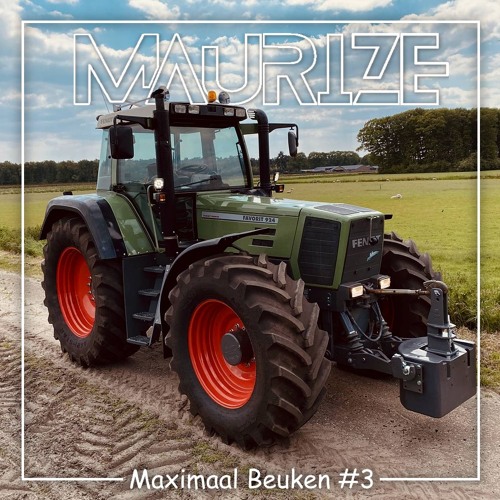 Maximaal Beuken #3  | Maurize