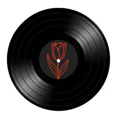 DubaTribe (live extract uncutted)