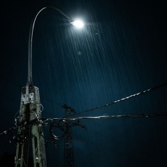 Rain ... with Seagull and David Dunham