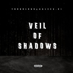 TROKOLOKO & AALEXX.21 veil of shadows (PROMO)