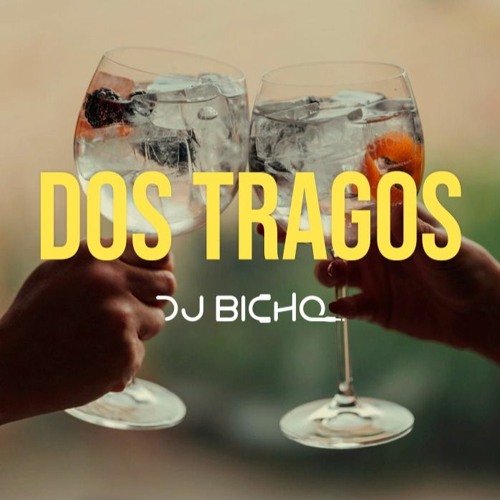 DOS TRAGOS [DJ BICHO 21']