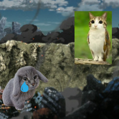 Cabbit vs Meowl Hopes and Dreams