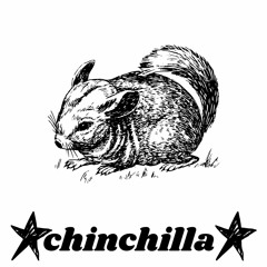 Chinchilla