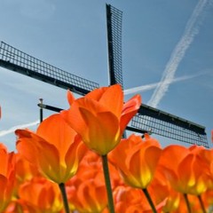 Presents: Kingsday Mixtape 2021 [FRENCHCORE-HARDCORE]
