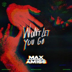 Martin Garrix - Won't Let You Go (Max Amiss Remix)