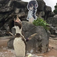 deroth德羅斯 + whiteshredd ー🌷מיוחד (prod. neofantasia)