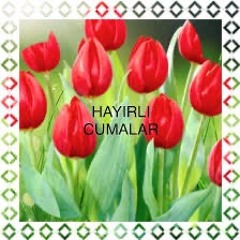 Bölüm 78 - Vişne, Tüylü Şeftali, Patates ve Zeytin'le Seks CV'si