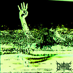 $UICIDEBOY$ - Styrofoam (Gnarlie Remix) [300 Free DL]