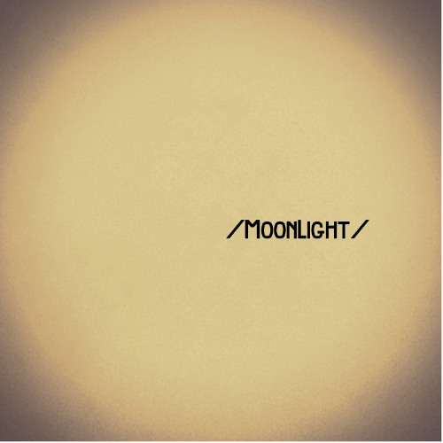 Moonlight//Donnaleigh