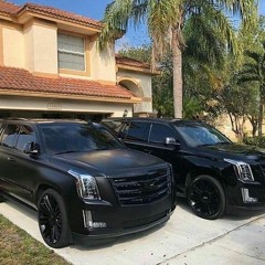 flx robeen lilvum cadillac