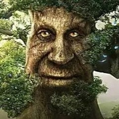Luh Calm Tree