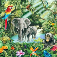jungle