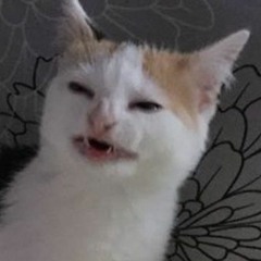 "A Terrible Ride" Lizard Boy: A New Musical