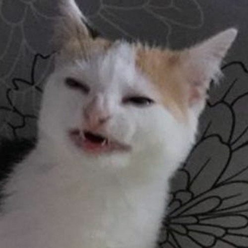 "A Terrible Ride" Lizard Boy: A New Musical