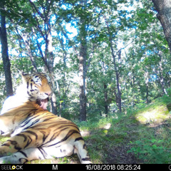 22.08.25 new direction 78bpm