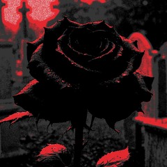 BLACK ROSE