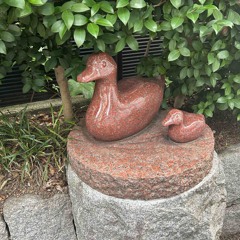 ひなたぼっこ