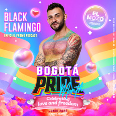 BOGOTÁ PRIDE MONTH // BLACK FLAMINGO //  PROMO PODCAST