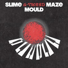 A-Tweed - Slime Mould Maze (Kubebe Remix)