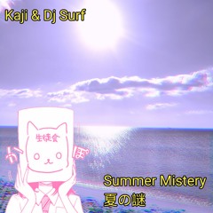 Ｓｕｍｍｅｒ ｍｉｓｔｅｒｙ 夏の謎
