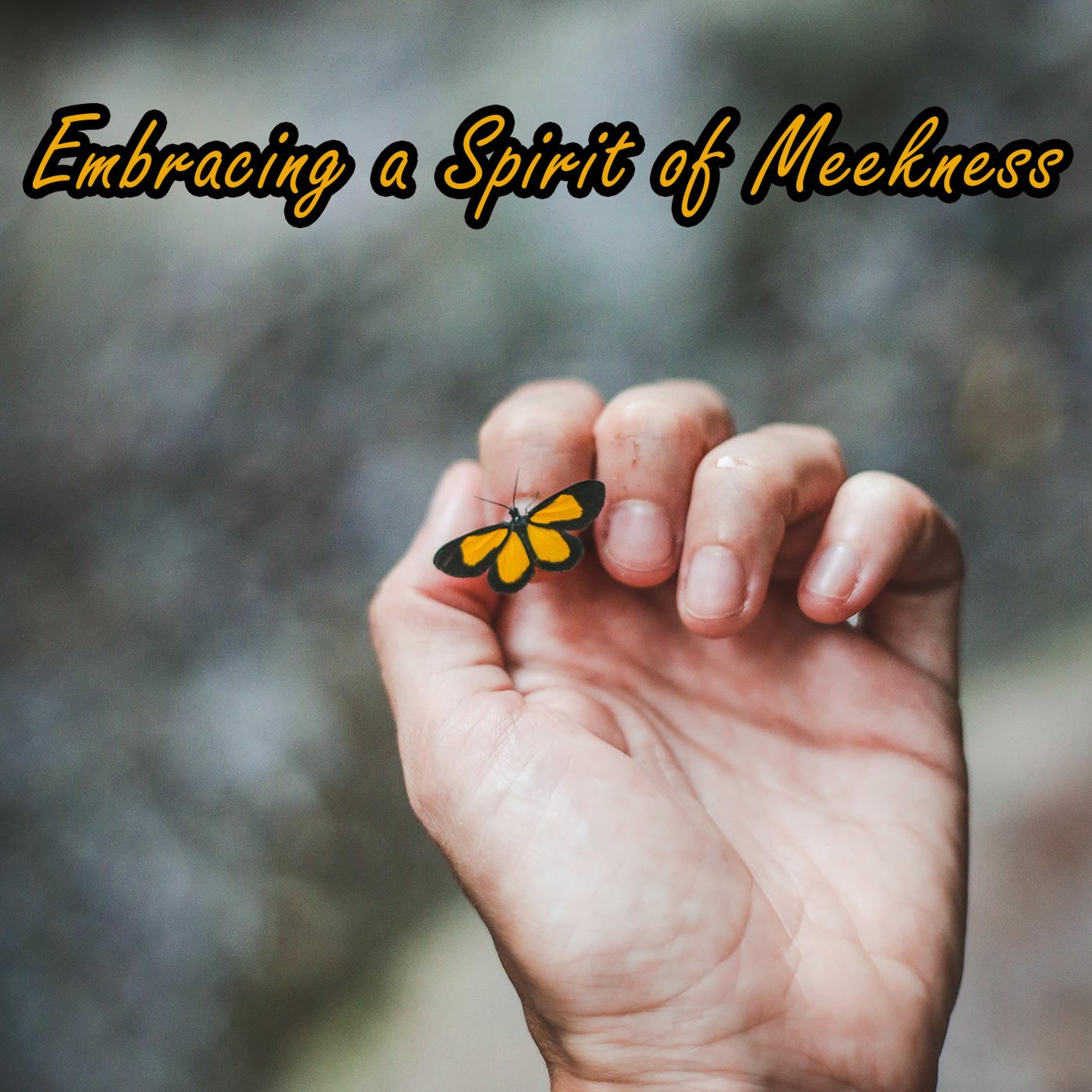 Embracing a Spirit of Meekness episode artwork