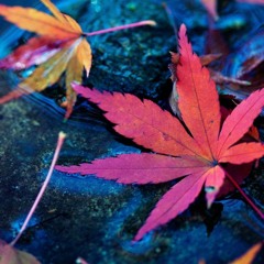 ILLEGALBASS - Neurofunk Mix