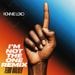 I'm Not The One (Remix Instrumental)