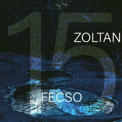 At Home (At Home) #15 - Zoltan Fecso
