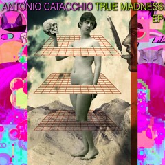 Antonio Catacchio "True Madness"  Snippet
