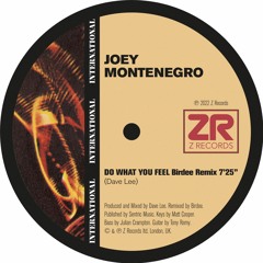 Joey Montenegro - Do What You Feel (Birdee Remix)