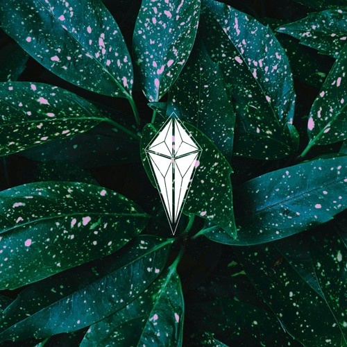 Reveris 005 | Samba