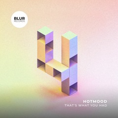 PREMIERE: Hotmood - That's What You Had [Blur Records]