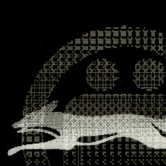 BRAIDS (amil raja Remix)