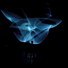 Flowers/Ghosts&Echoes (excerpt)