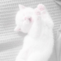 🤍//  FACE — MY GIRLS