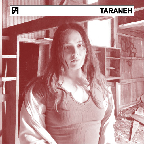 FLUX AETERNA 078: TARANEH