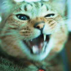 メテオの子 Chiptune Remix