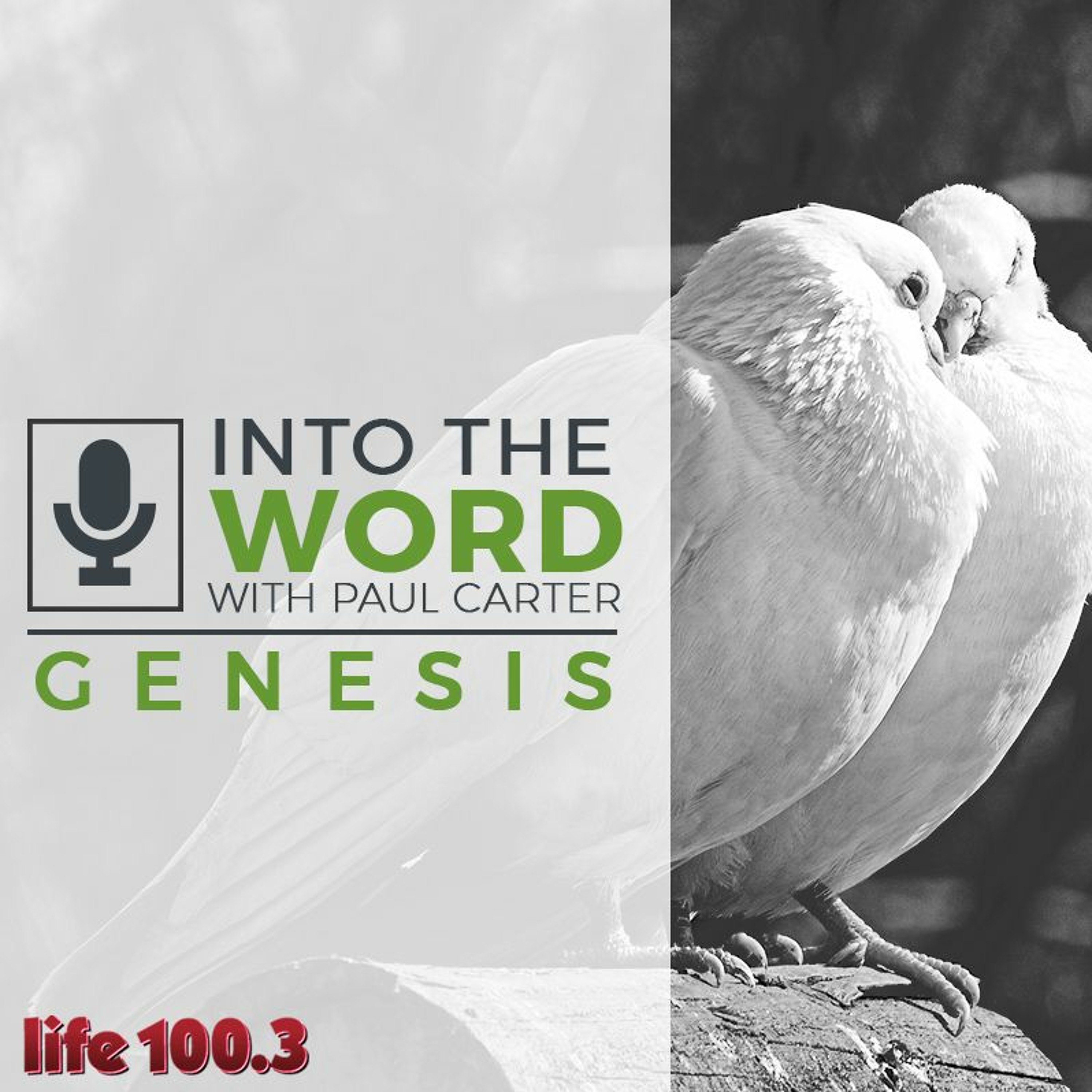 Life 100.3 Genesis 3