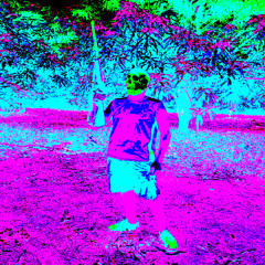 M0RTE